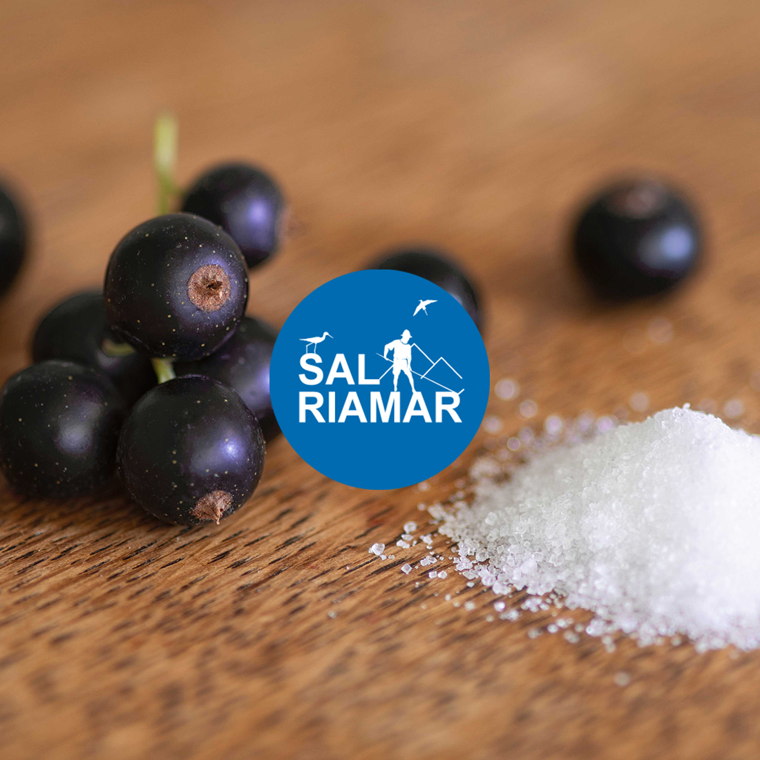 Website WordPress Sal Riamar